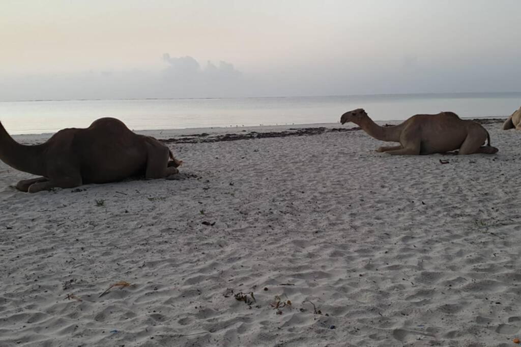 Cowrie Beach Haven Studio Apartment Mombasa Exterior photo